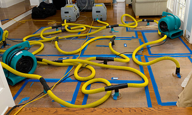 Professional Sewage Cleanup technician working in Farmington, MI